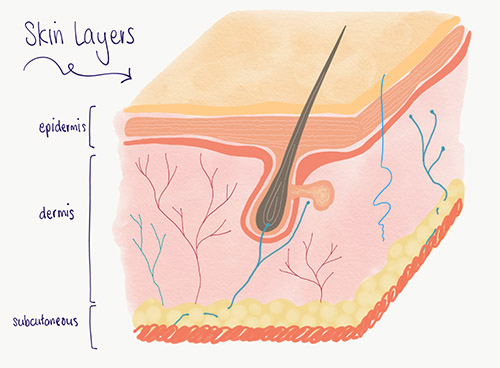 Skin Layers